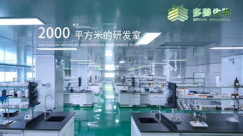 虹橋美博會上的網紅產品定制中心代工廠 技術服務引領行業新潮流