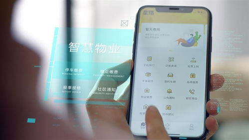 中國(guó)物業(yè)管理行業(yè) 市場(chǎng)規(guī)模與大數(shù)據(jù)的剖析下的發(fā)展前景展望